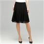 Pleated Skirt With Embroidery. x0032, , small